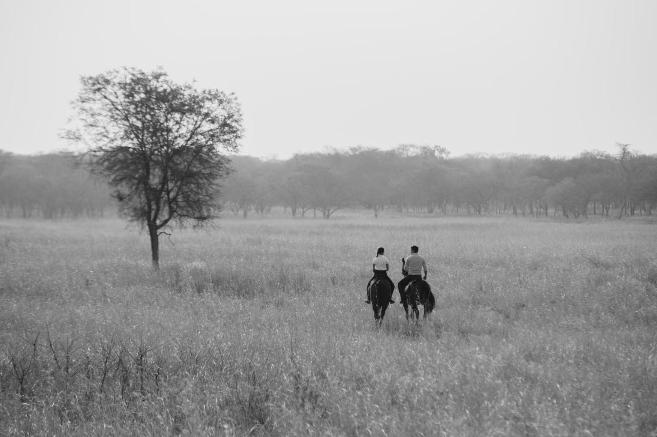 Lilayi Lodge Lusaka Luaran gambar